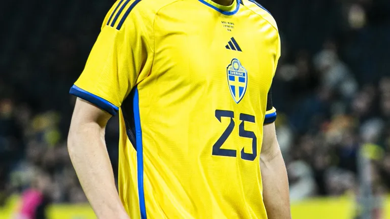 Gustaf Lagerbielke during the match won 3-1 in Solna on 12 October 2023 against Moldova.