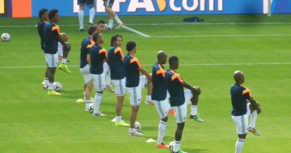 Selección colombiana de fútbol en el Mundial de Brasil 2014