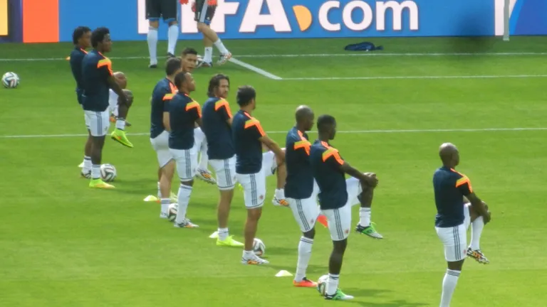 Selección colombiana de fútbol en el Mundial de Brasil 2014